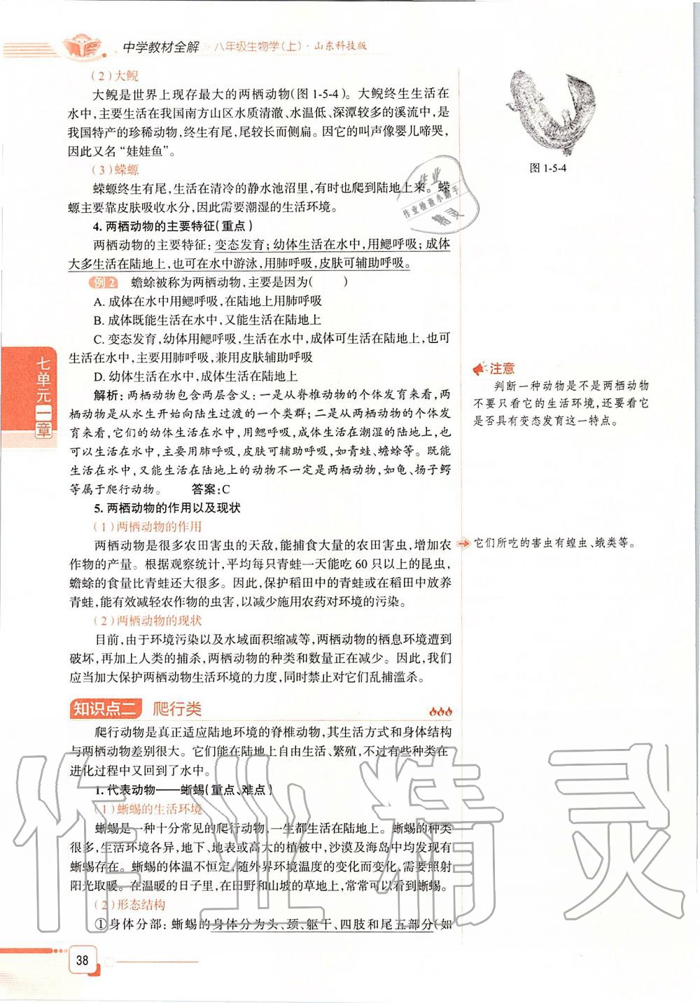2019年课本八年级生物学上册鲁科版五四制&nbsp;第38页