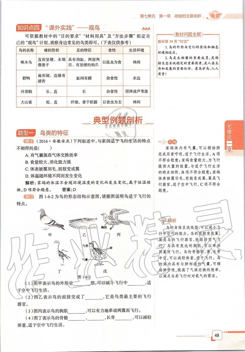 2019年课本八年级生物学上册鲁科版五四制&nbsp;第49页