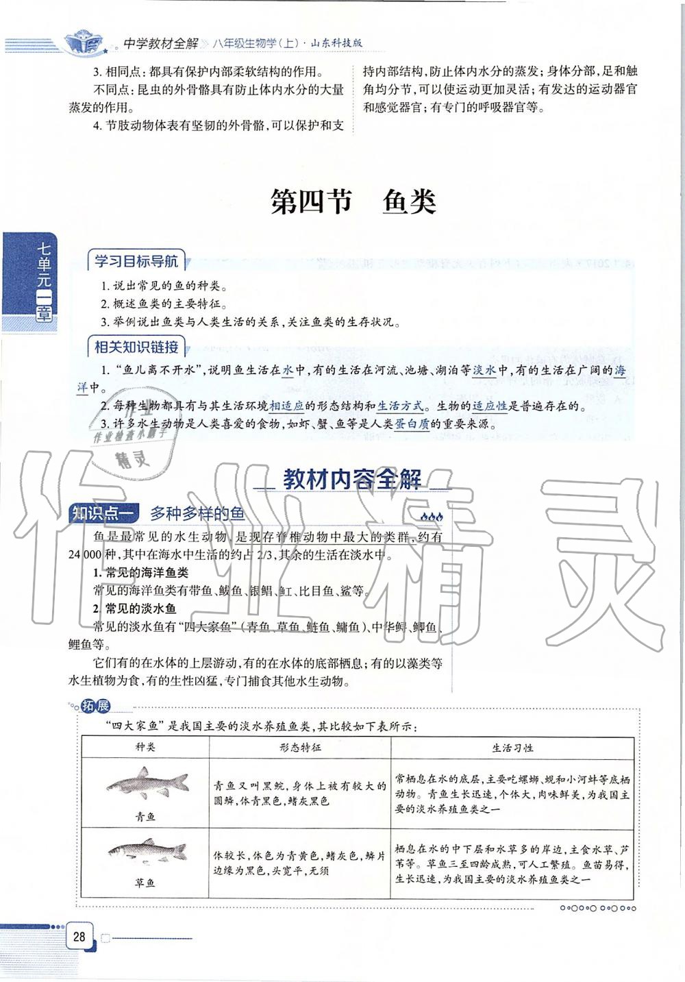 2019年课本八年级生物学上册鲁科版五四制&nbsp;第28页