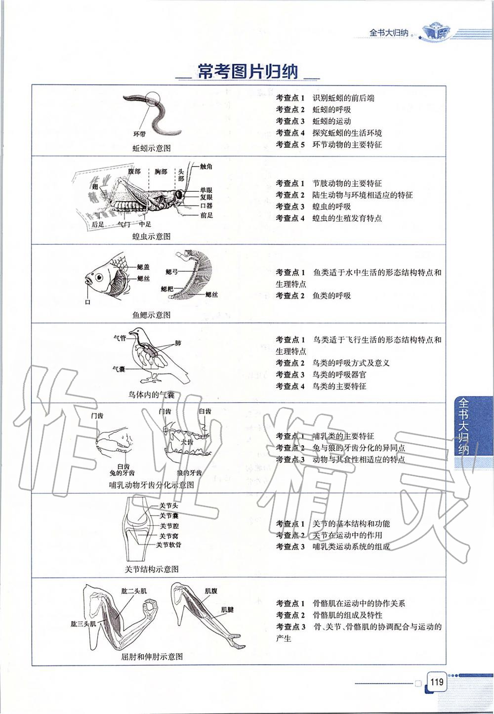 2019年课本八年级生物学上册鲁科版五四制&nbsp;第119页