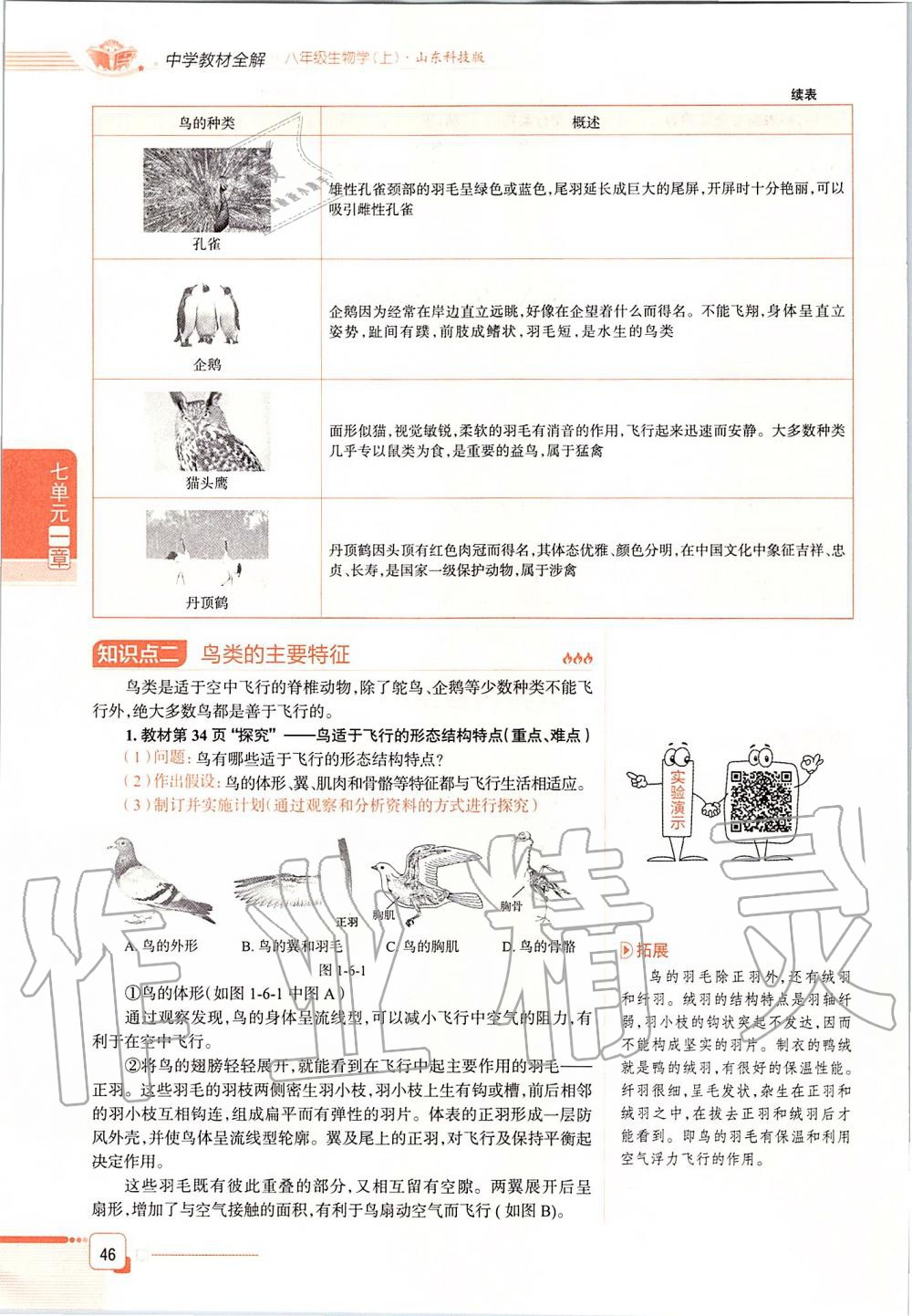 2019年课本八年级生物学上册鲁科版五四制&nbsp;第46页