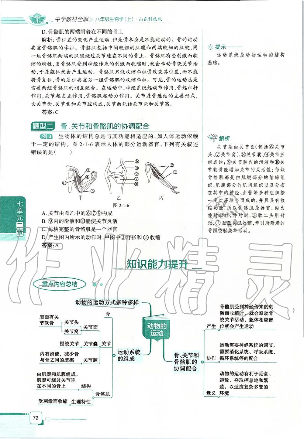 2019年课本八年级生物学上册鲁科版五四制&nbsp;第72页