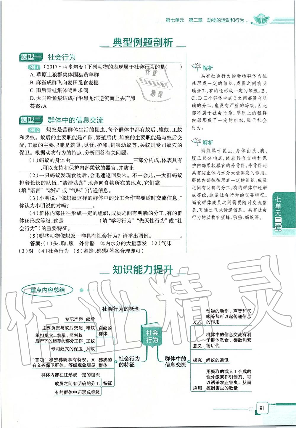 2019年课本八年级生物学上册鲁科版五四制&nbsp;第91页