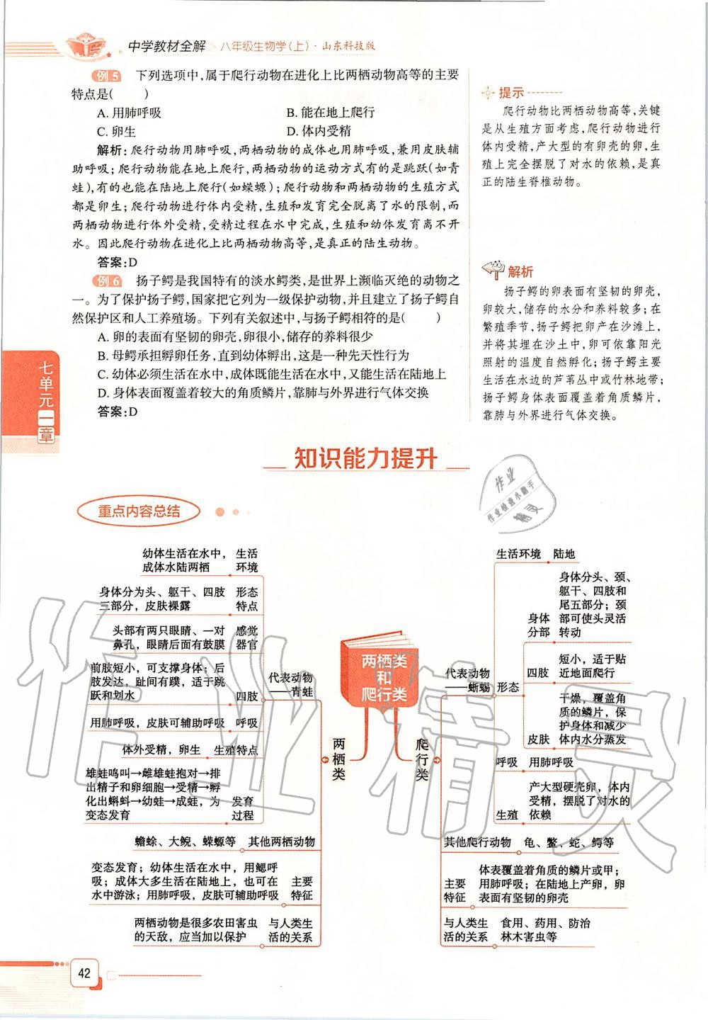2019年课本八年级生物学上册鲁科版五四制&nbsp;第42页