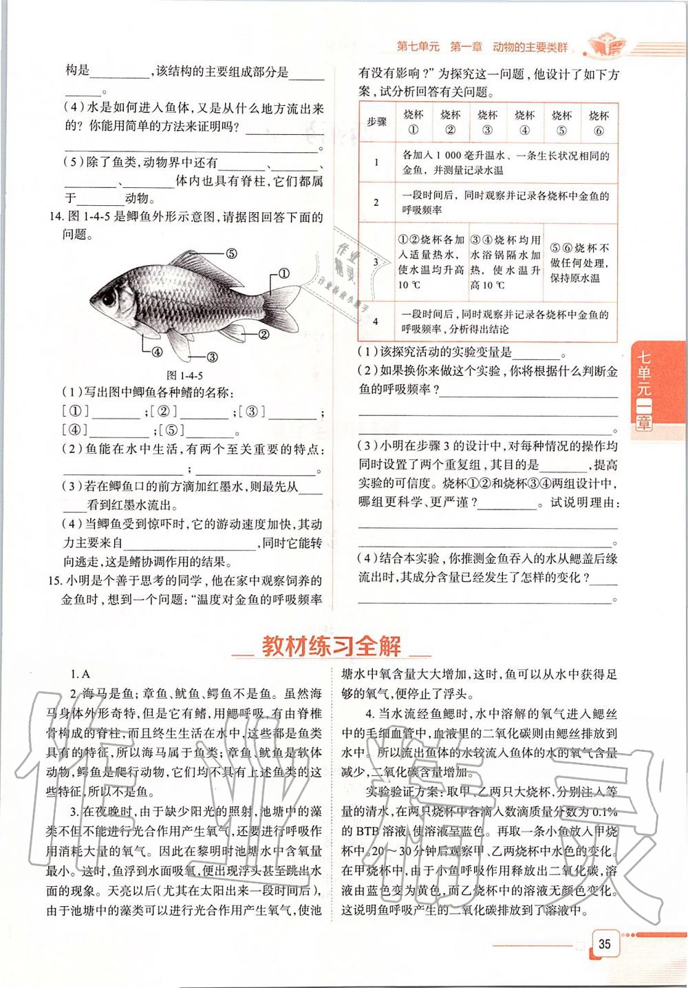 2019年课本八年级生物学上册鲁科版五四制&nbsp;第35页