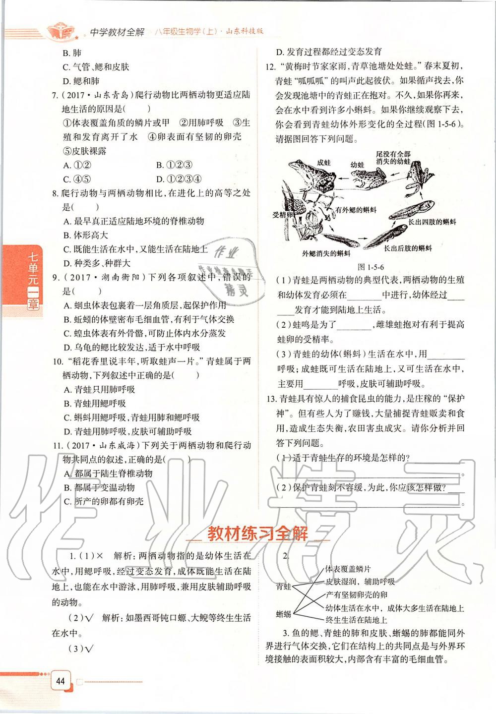 2019年课本八年级生物学上册鲁科版五四制&nbsp;第44页