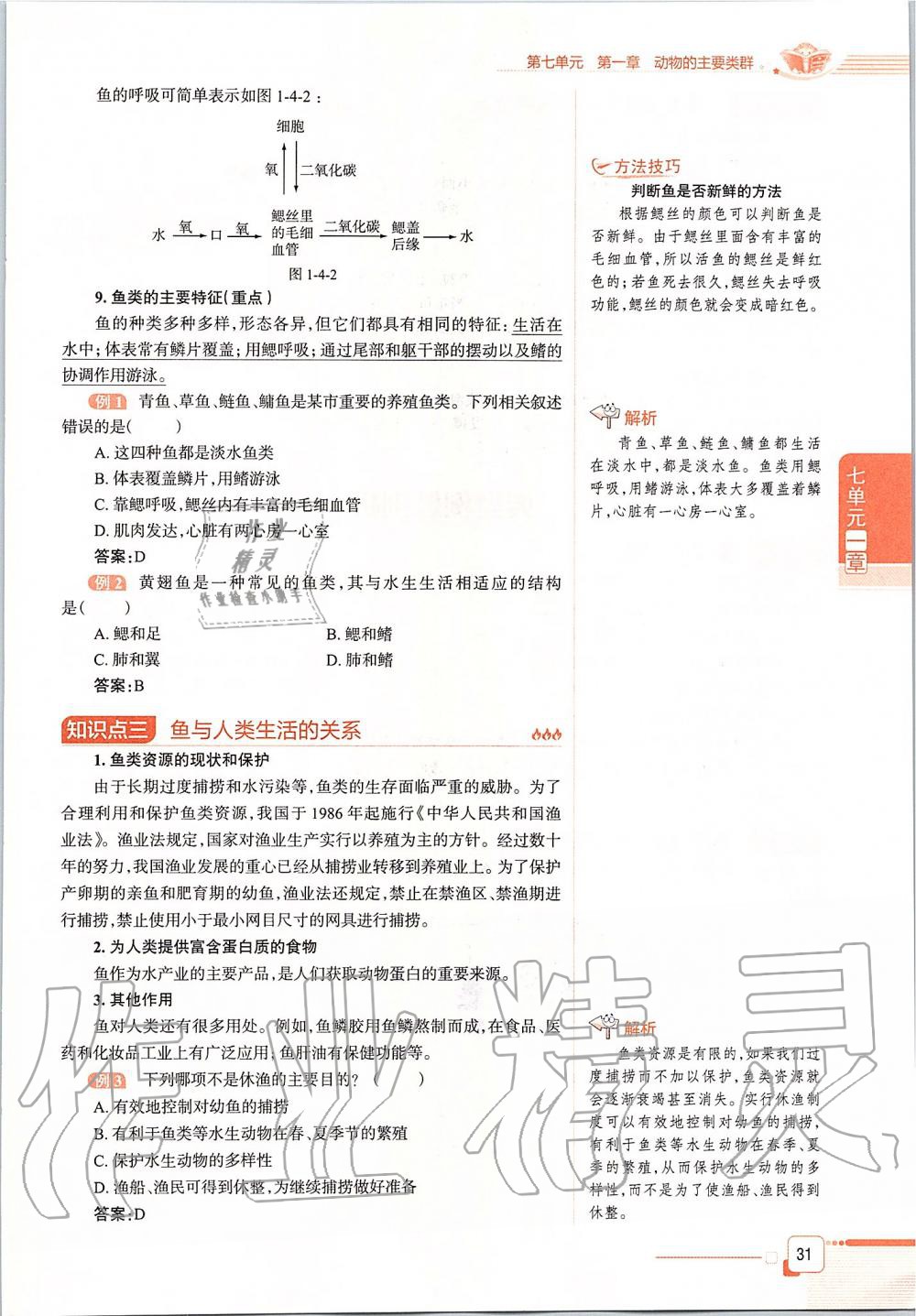 2019年课本八年级生物学上册鲁科版五四制&nbsp;第31页