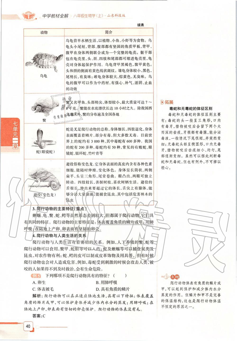 2019年课本八年级生物学上册鲁科版五四制&nbsp;第40页