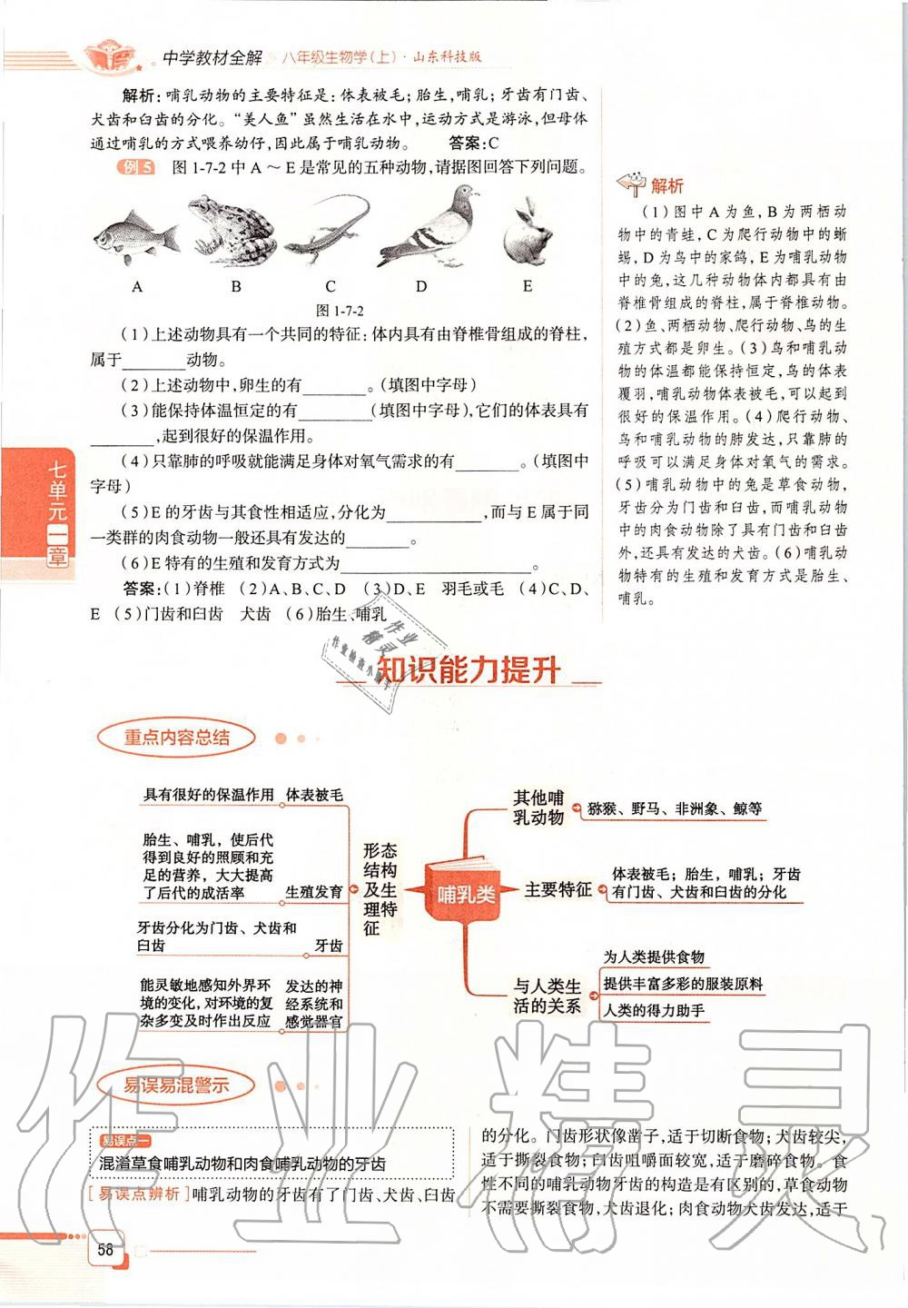 2019年课本八年级生物学上册鲁科版五四制&nbsp;第58页