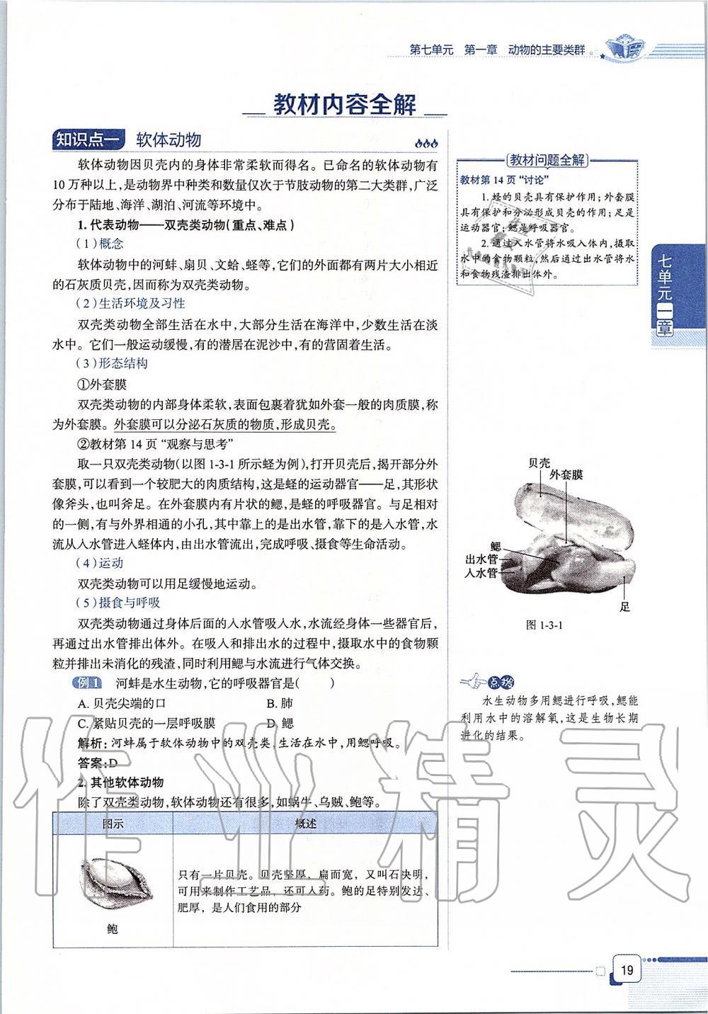 2019年课本八年级生物学上册鲁科版五四制&nbsp;第19页