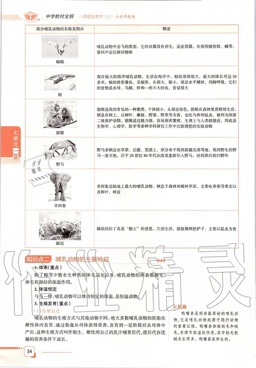 2019年课本八年级生物学上册鲁科版五四制&nbsp;第54页
