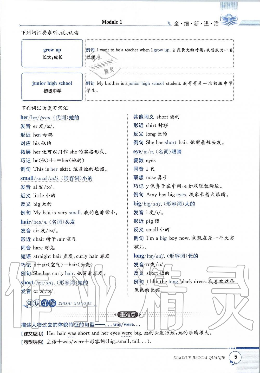 2019年課本六年級英語上冊滬教版三起 第5頁