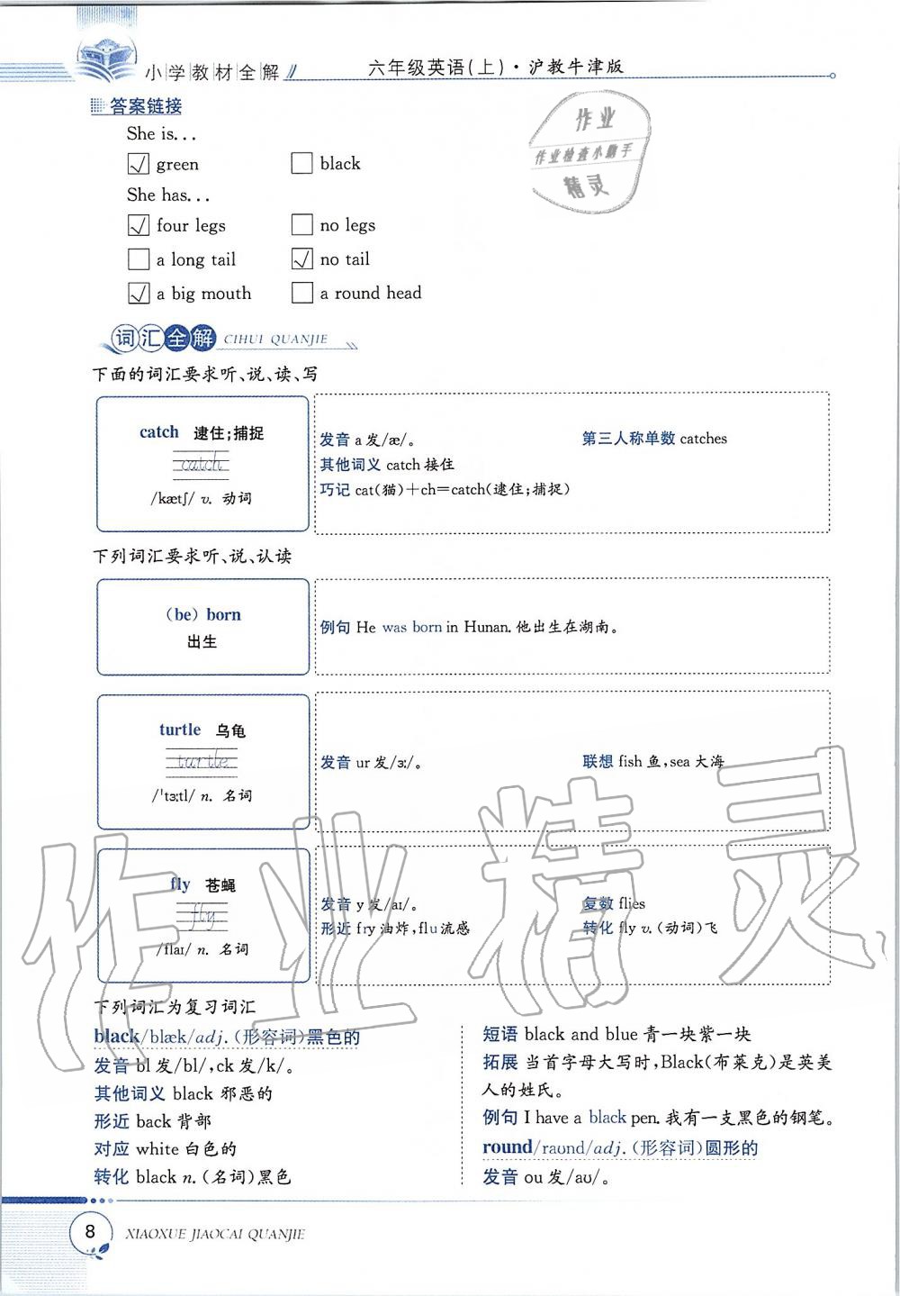 2019年課本六年級英語上冊滬教版三起 第8頁