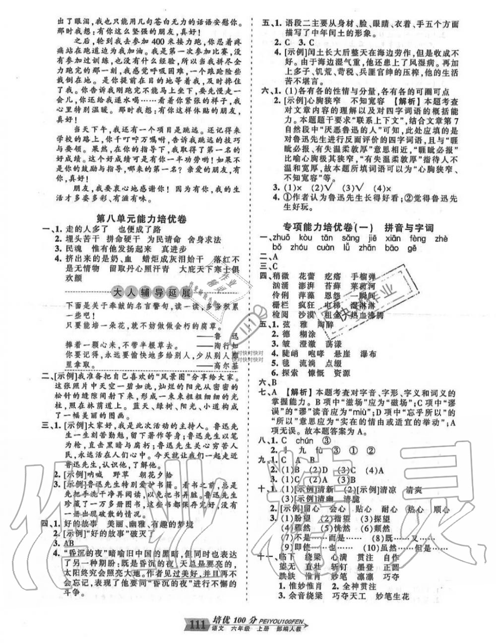 2019年王朝霞培優(yōu)100分六年級(jí)語文上冊(cè)人教版 第11頁