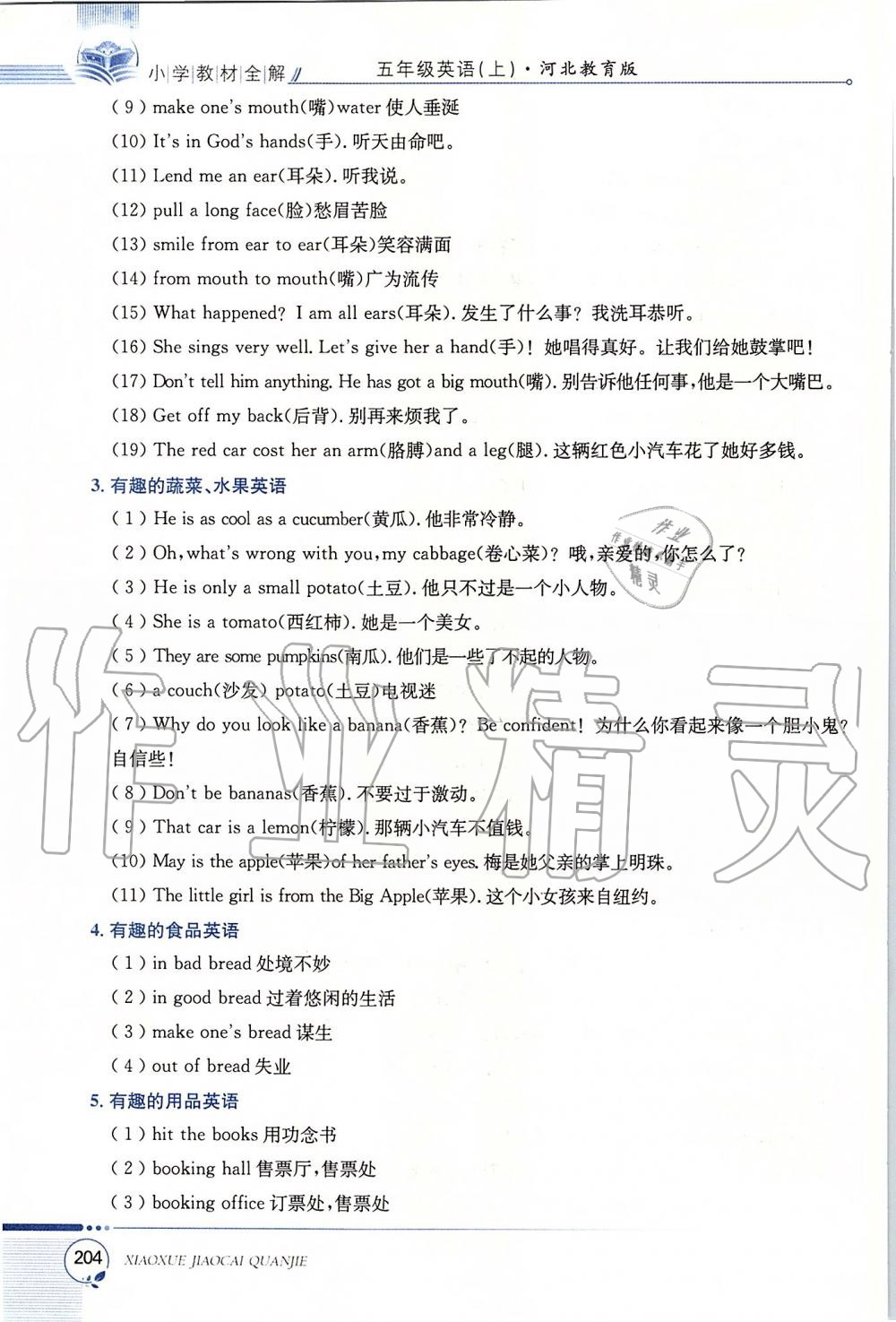 2019年小學(xué)教材全解五年級(jí)英語(yǔ)上冊(cè)河北教育版三起 第9頁(yè)