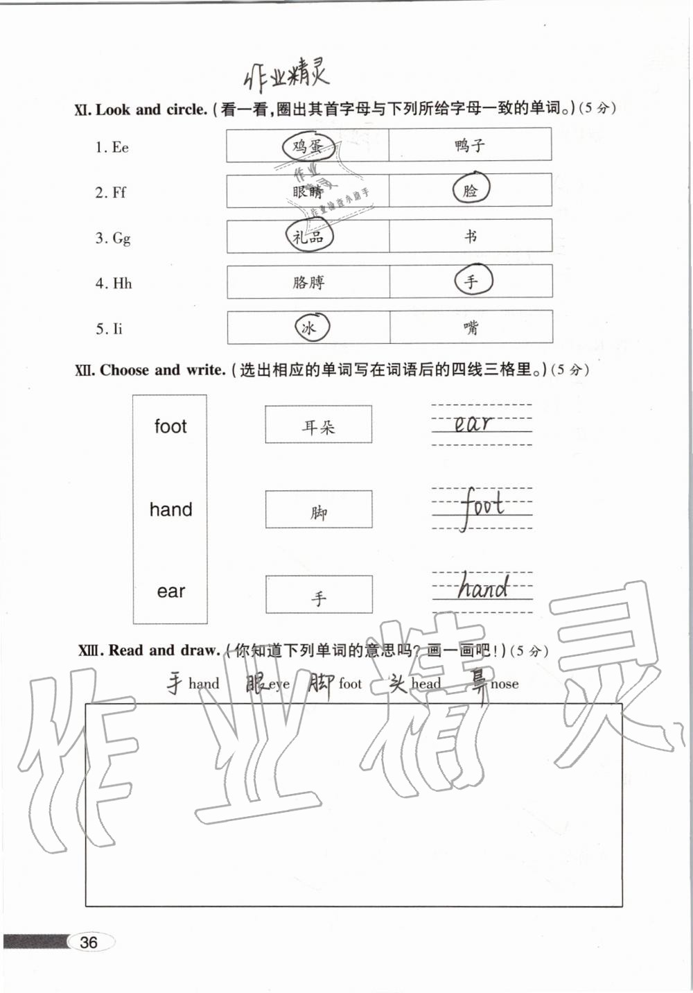 2019年新課堂同步學(xué)習(xí)與探究三年級英語上學(xué)期人教版 第36頁