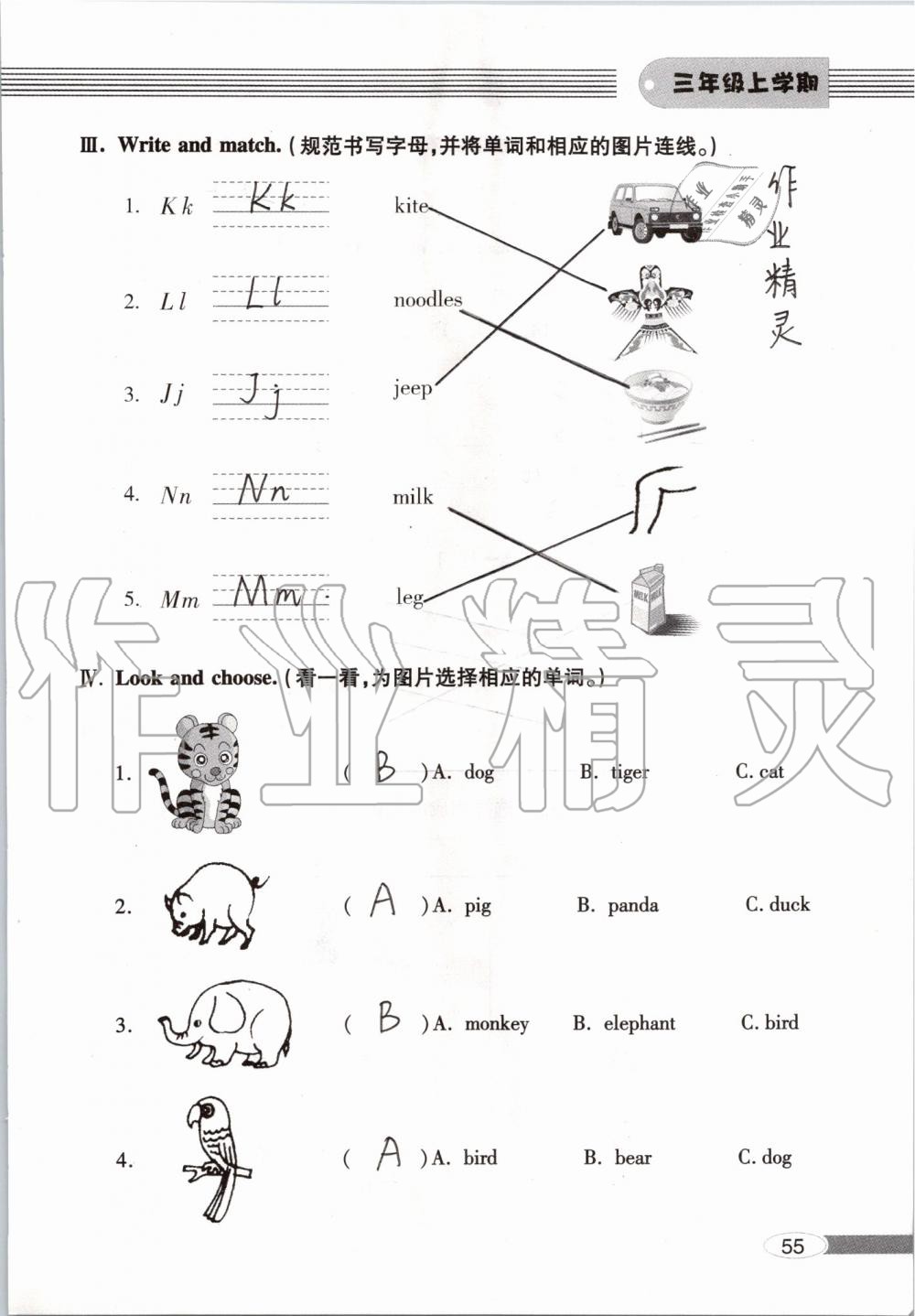 2019年新课堂同步学习与探究三年级英语上学期人教版 第55页