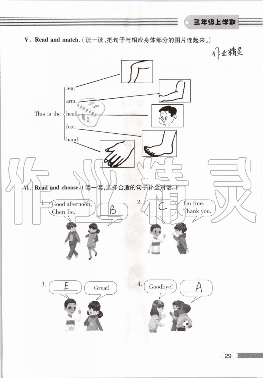 2019年新课堂同步学习与探究三年级英语上学期人教版 第29页