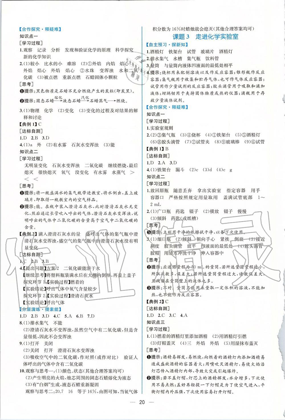 2019年同步學歷案課時練九年級化學全一冊人教版河南專版 第2頁