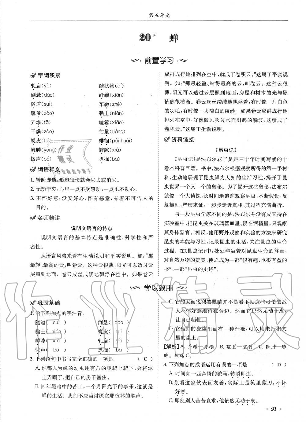 2019年蓉城学霸八年级语文上册人教版 第91页