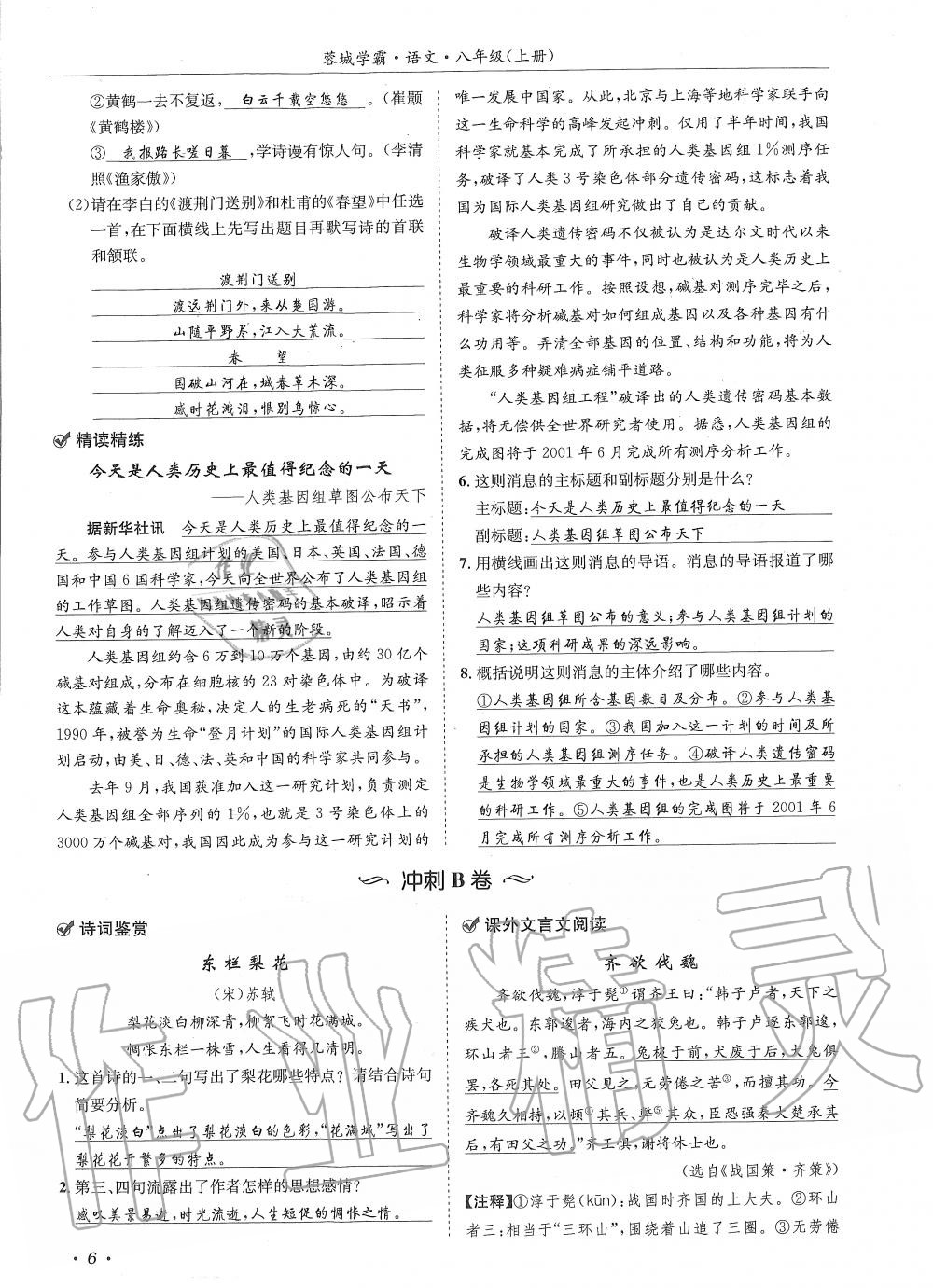 2019年蓉城學(xué)霸八年級(jí)語(yǔ)文上冊(cè)人教版 第6頁(yè)