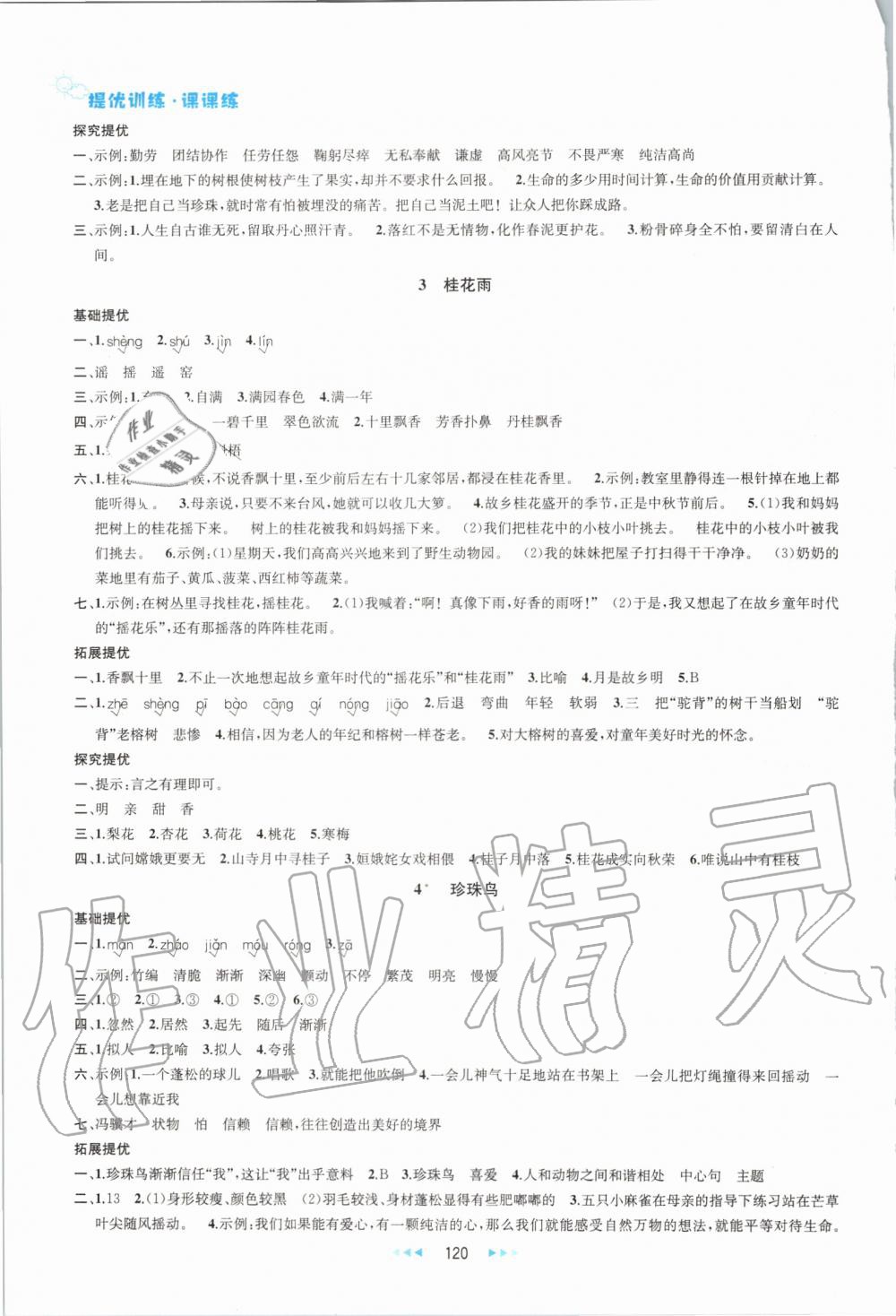 2019年金鑰匙提優(yōu)訓練課課練五年級語文上冊人教版 第2頁