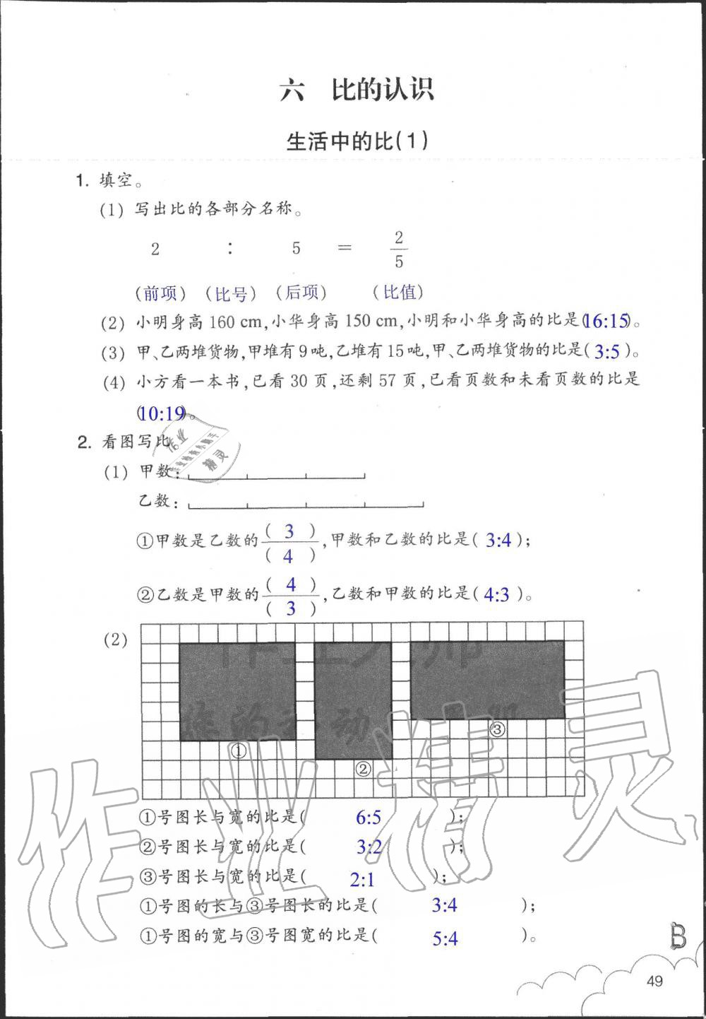 2019年数学作业本六年级上册北师大版浙江教育出版社 第49页