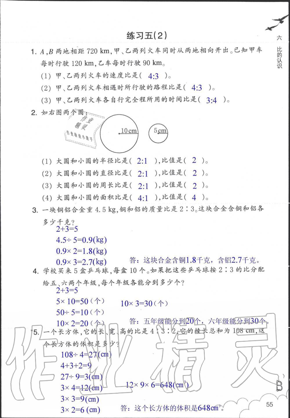 2019年数学作业本六年级上册北师大版浙江教育出版社 第55页