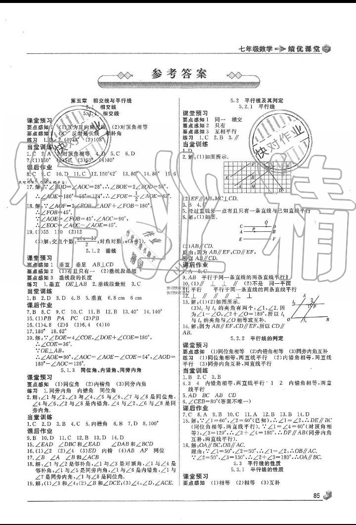 2019年績(jī)優(yōu)課堂高效提升滿分備考七年級(jí)數(shù)學(xué)下冊(cè)人教版 第9頁(yè)