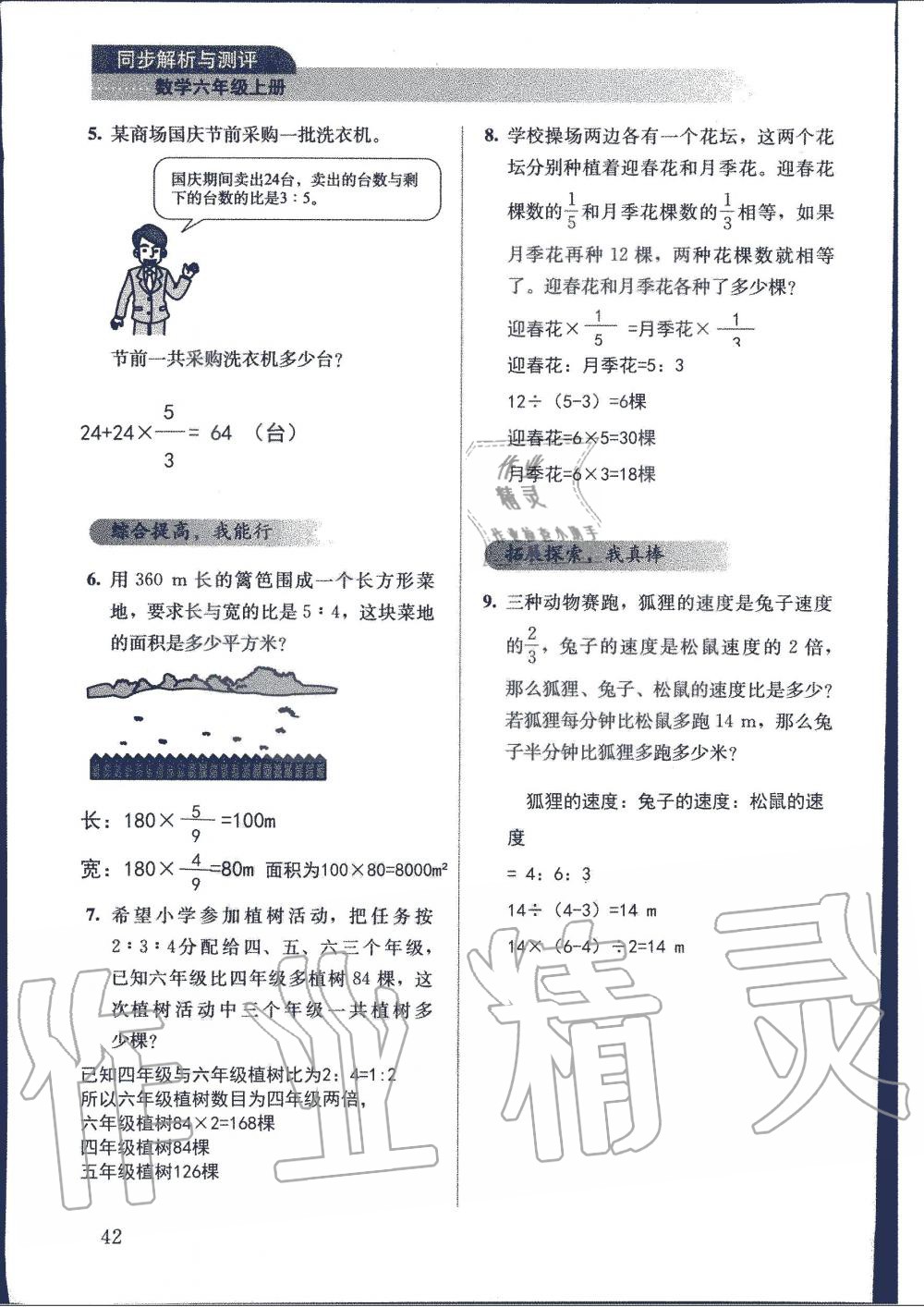 2019年人教金學典同步解析與測評六年級數(shù)學上冊人教版 第42頁