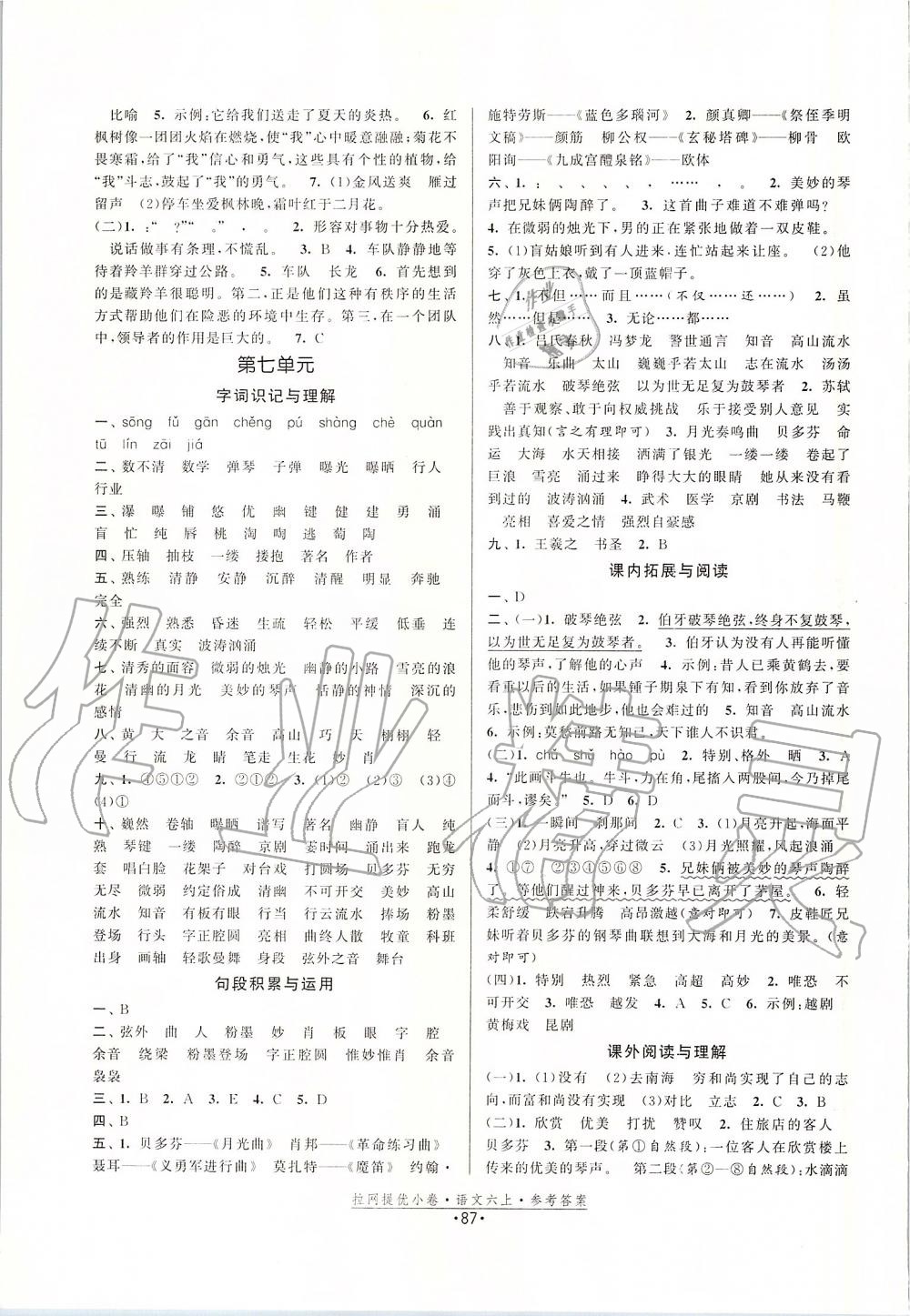 2019年拉網(wǎng)提優(yōu)小卷六年級(jí)語(yǔ)文上冊(cè)人教版 第7頁(yè)