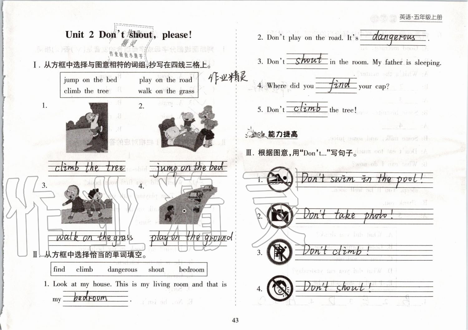 2019年新課程課堂同步練習(xí)冊(cè)五年級(jí)英語(yǔ)上冊(cè)外研版 第43頁(yè)