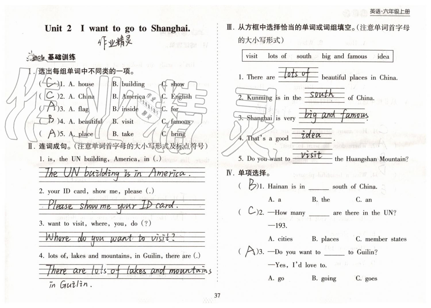 2019年新课程课堂同步练习册六年级英语上册外研版 第37页