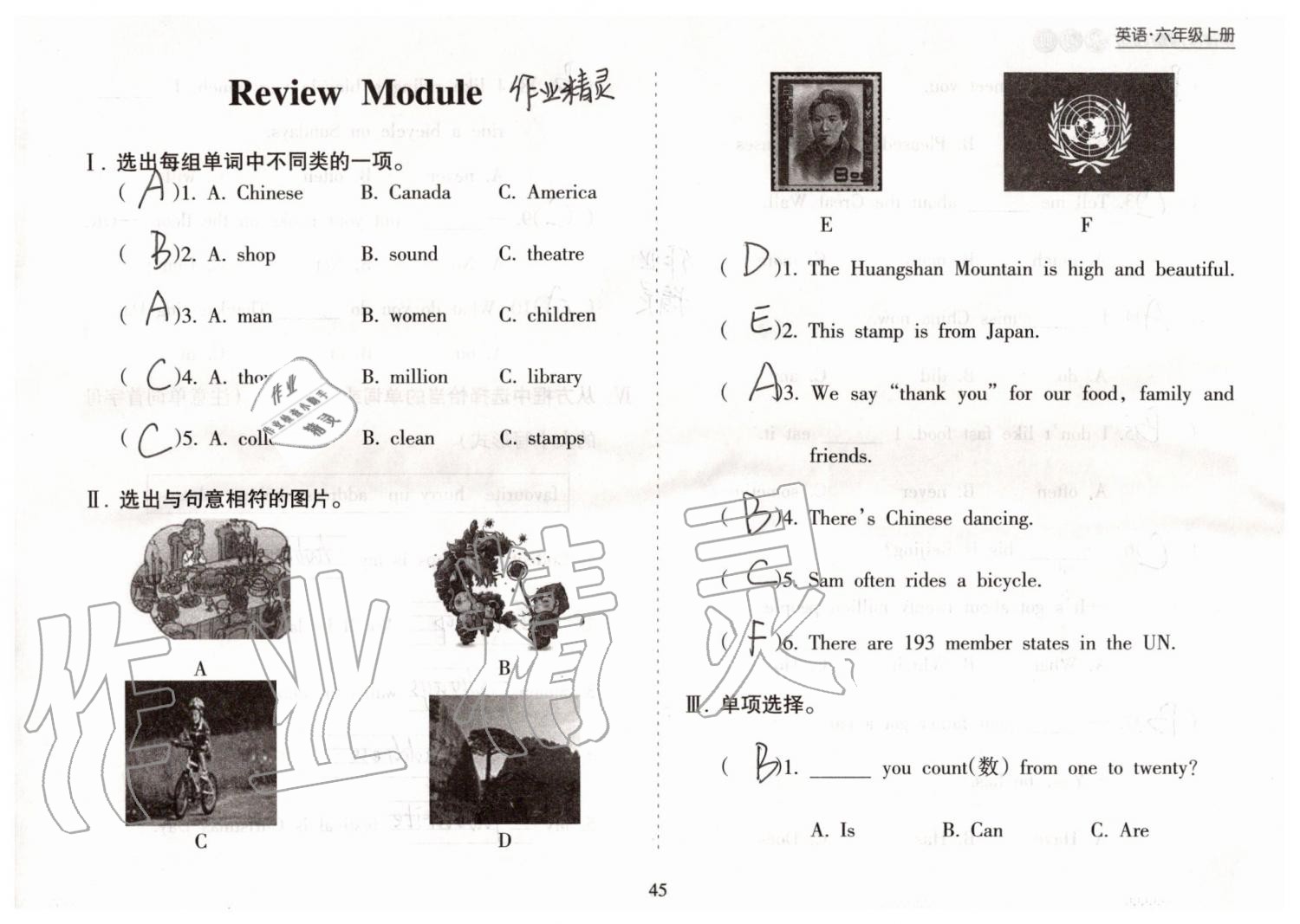 2019年新课程课堂同步练习册六年级英语上册外研版 第45页