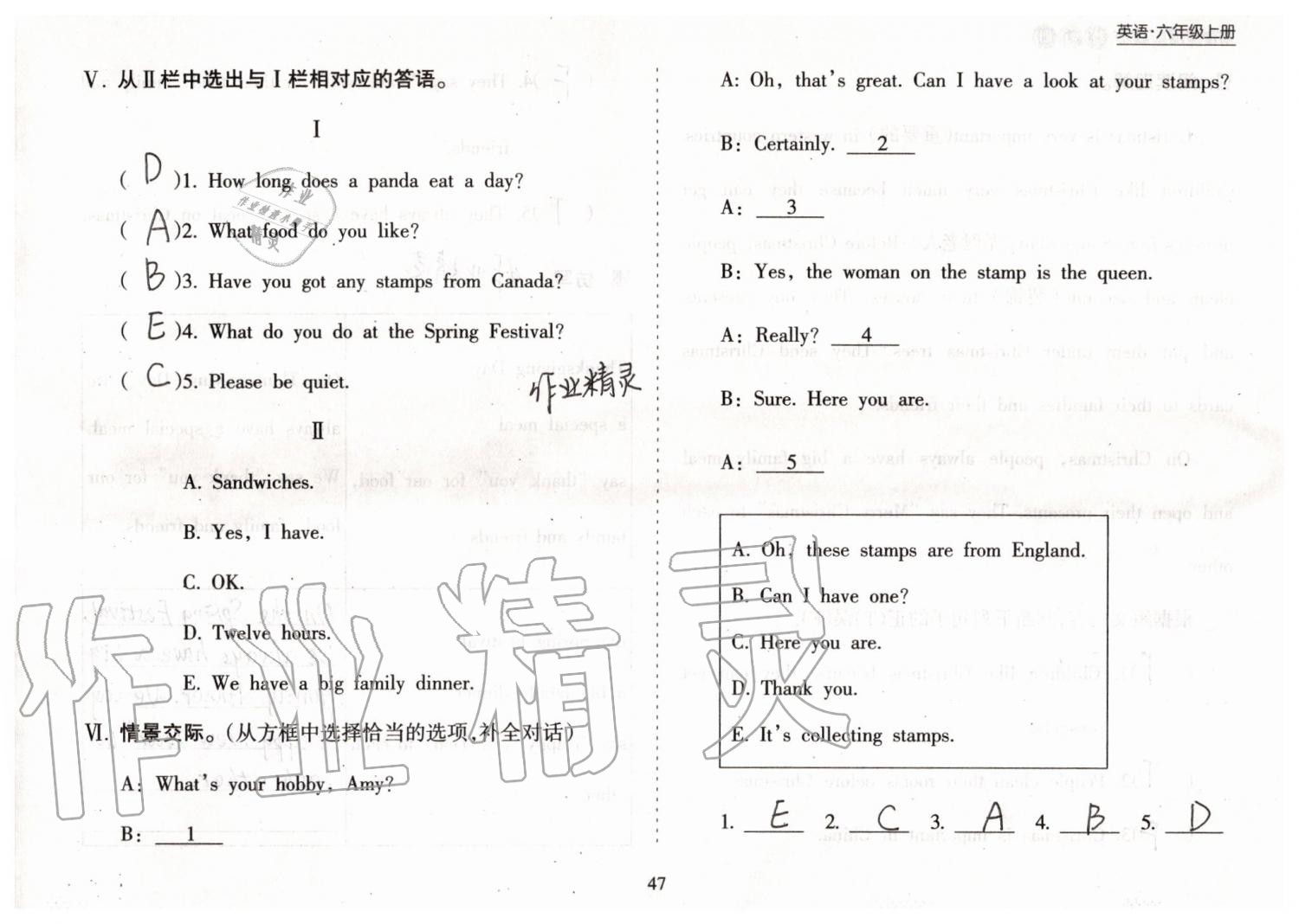 2019年新课程课堂同步练习册六年级英语上册外研版 第47页