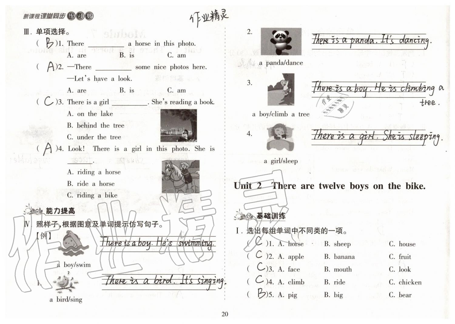 2019年新課程課堂同步練習(xí)冊(cè)四年級(jí)英語(yǔ)上冊(cè)外研版 第20頁(yè)