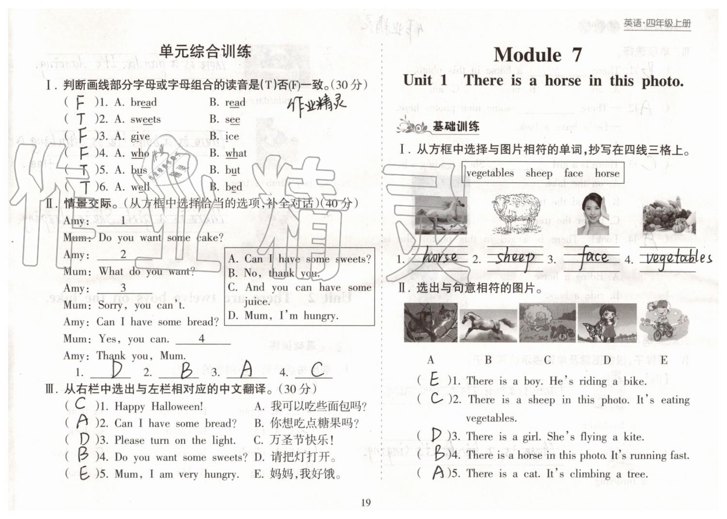 2019年新課程課堂同步練習(xí)冊四年級英語上冊外研版 第19頁