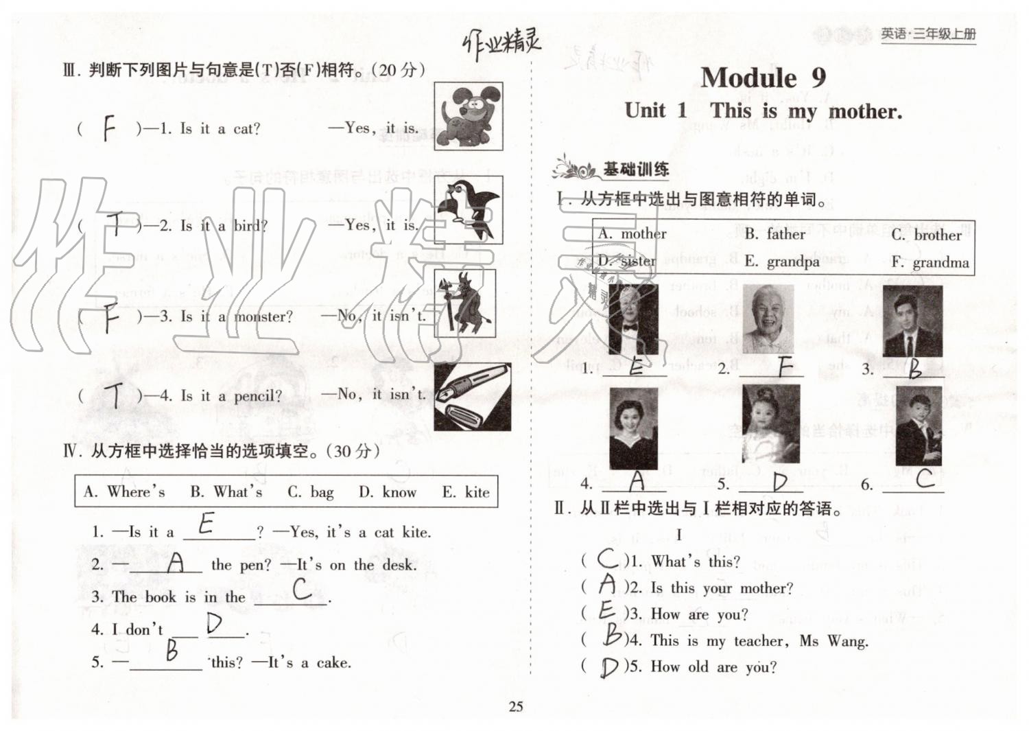 2019年新課程課堂同步練習(xí)冊三年級(jí)英語上冊外研版 第25頁