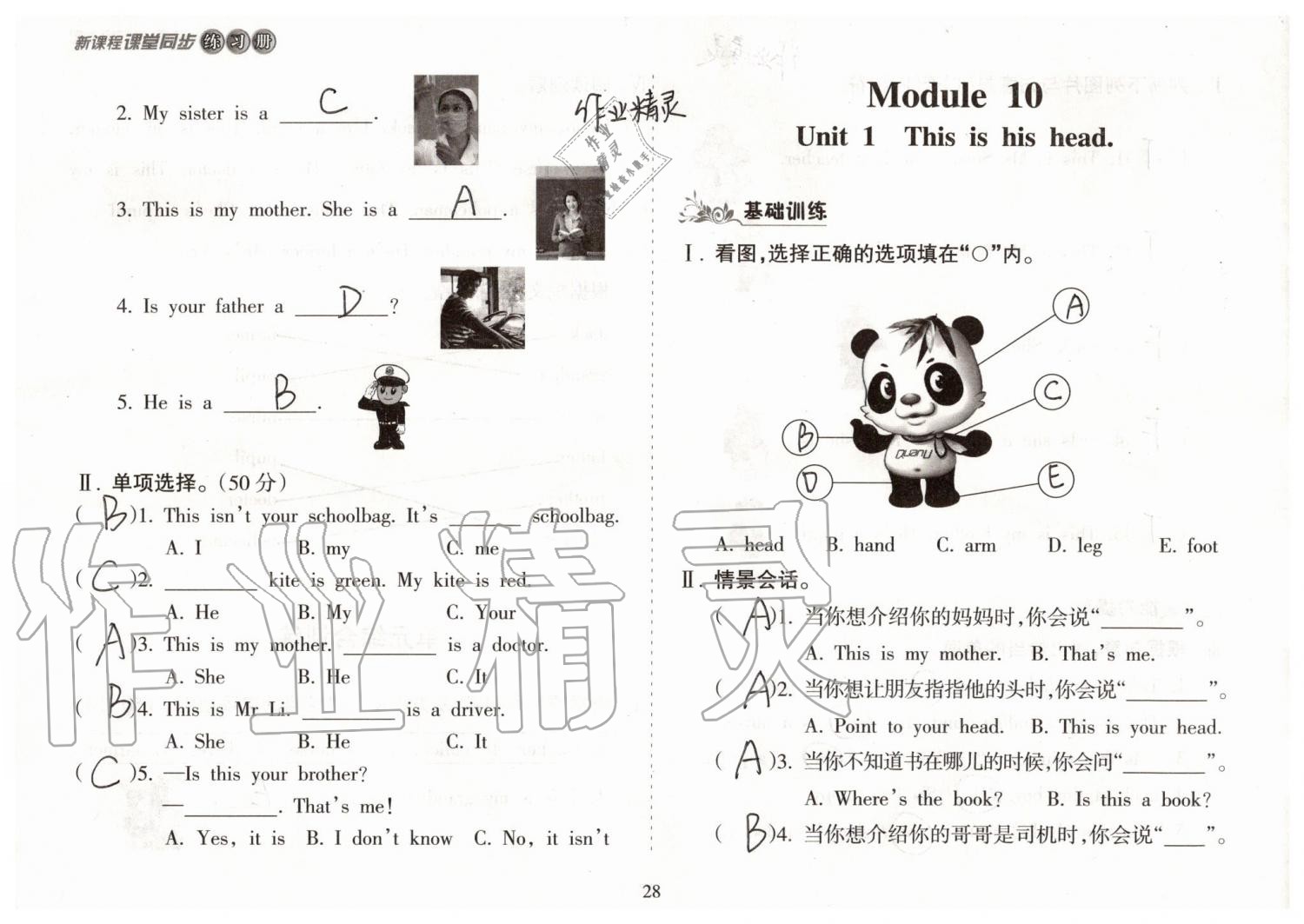 2019年新課程課堂同步練習(xí)冊(cè)三年級(jí)英語(yǔ)上冊(cè)外研版 第28頁(yè)