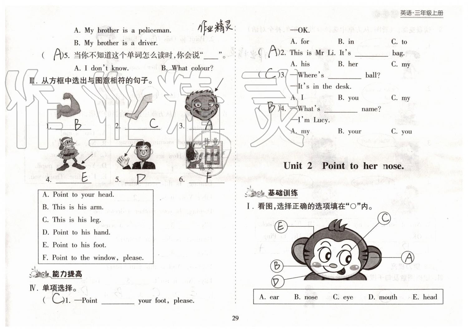 2019年新課程課堂同步練習(xí)冊(cè)三年級(jí)英語上冊(cè)外研版 第29頁