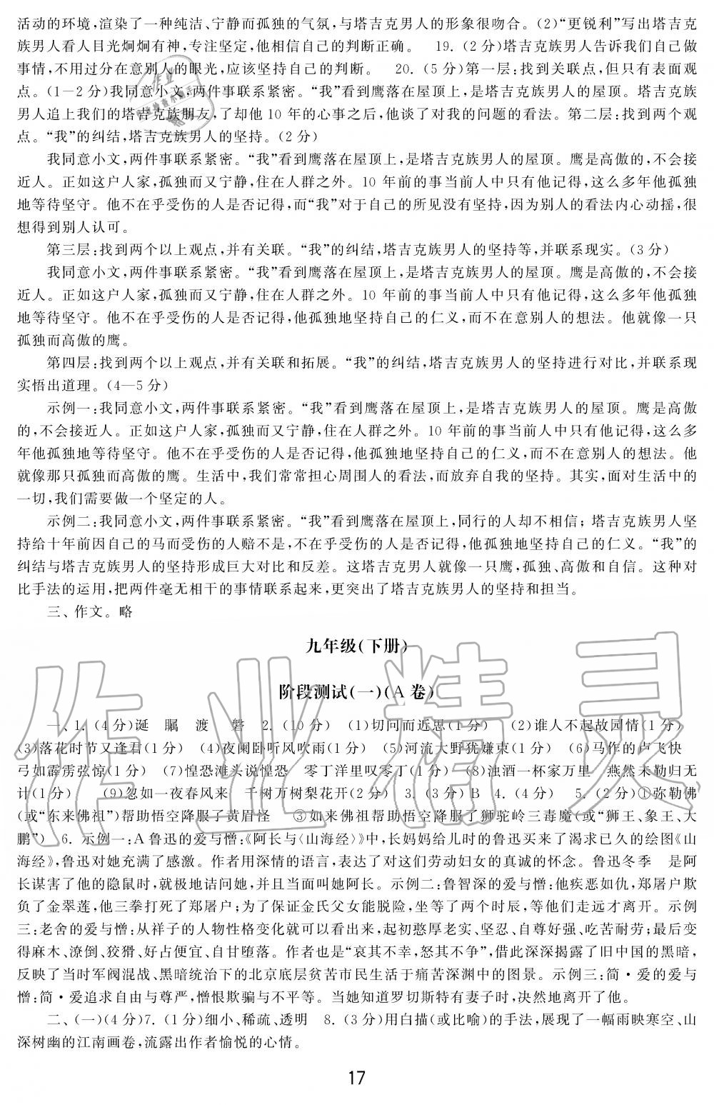 2019年学习周报初中九年级学练案合刊语文 第17页