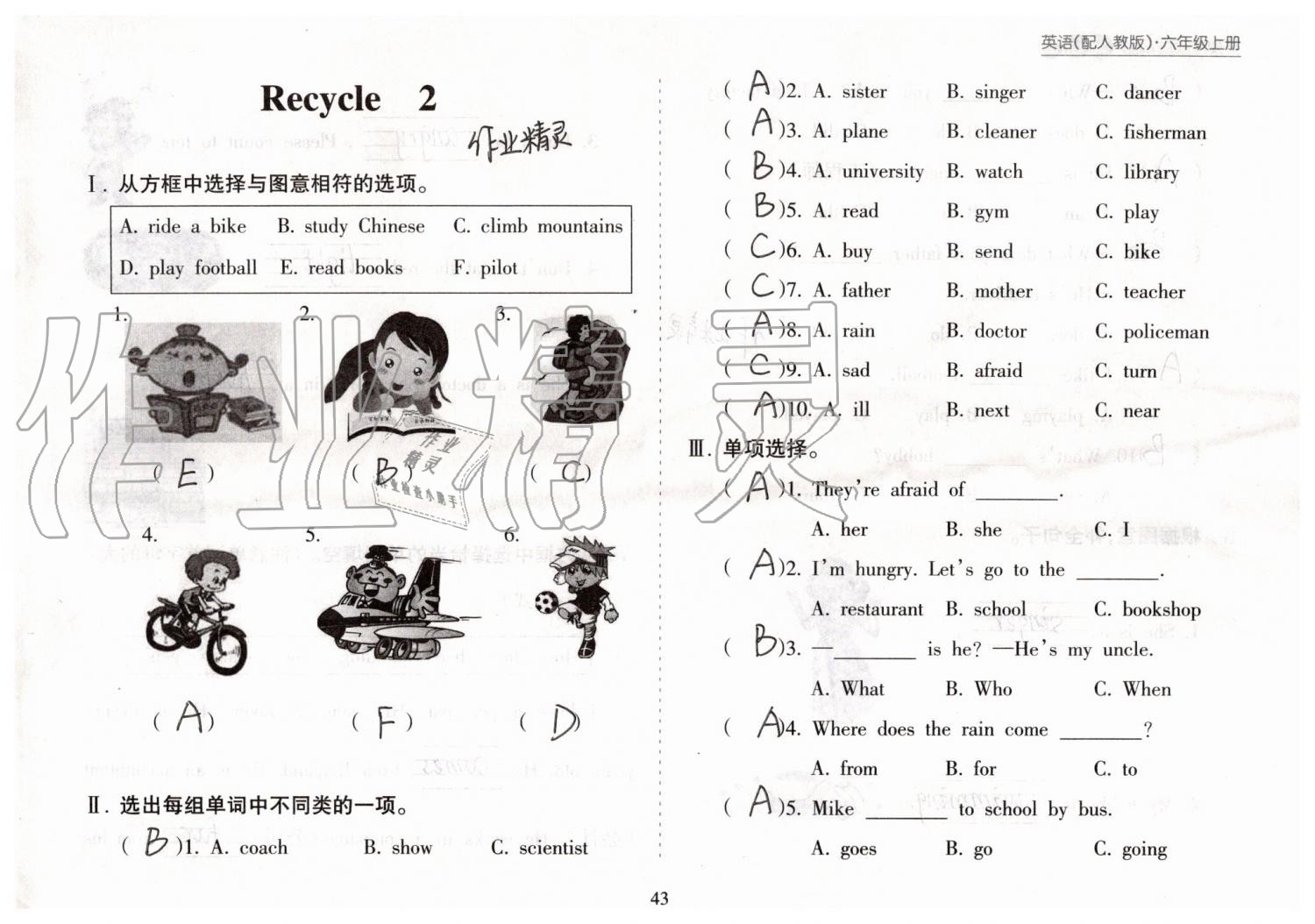 2019年新课程课堂同步练习册六年级英语上册人教版 第43页