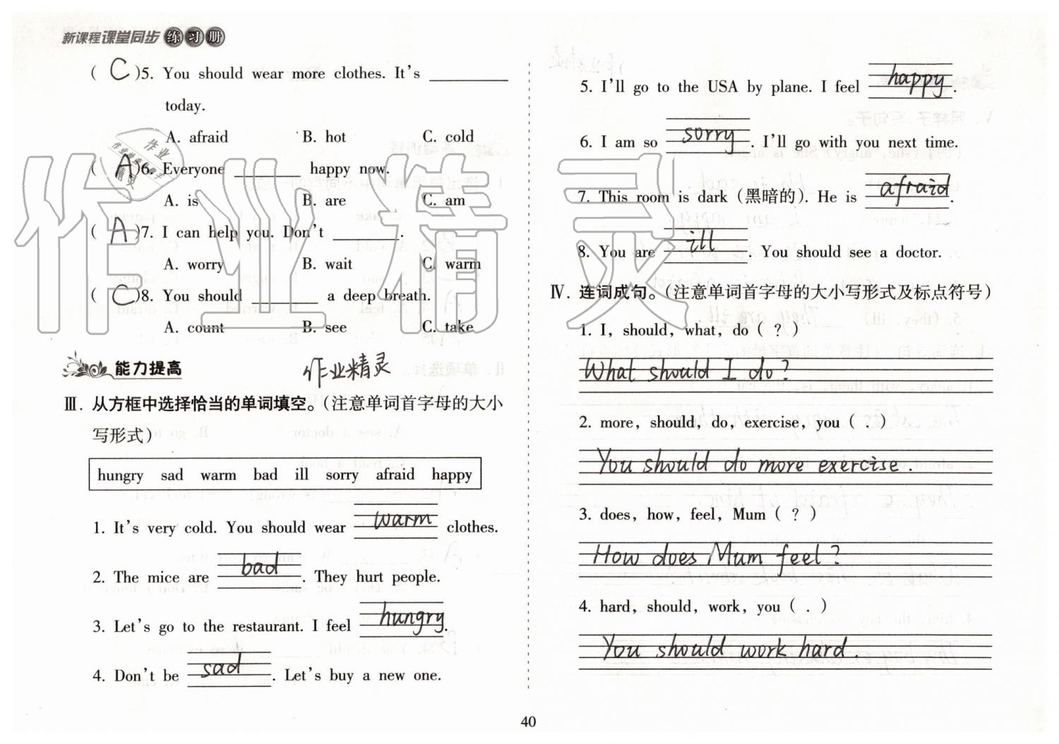2019年新课程课堂同步练习册六年级英语上册人教版 第40页