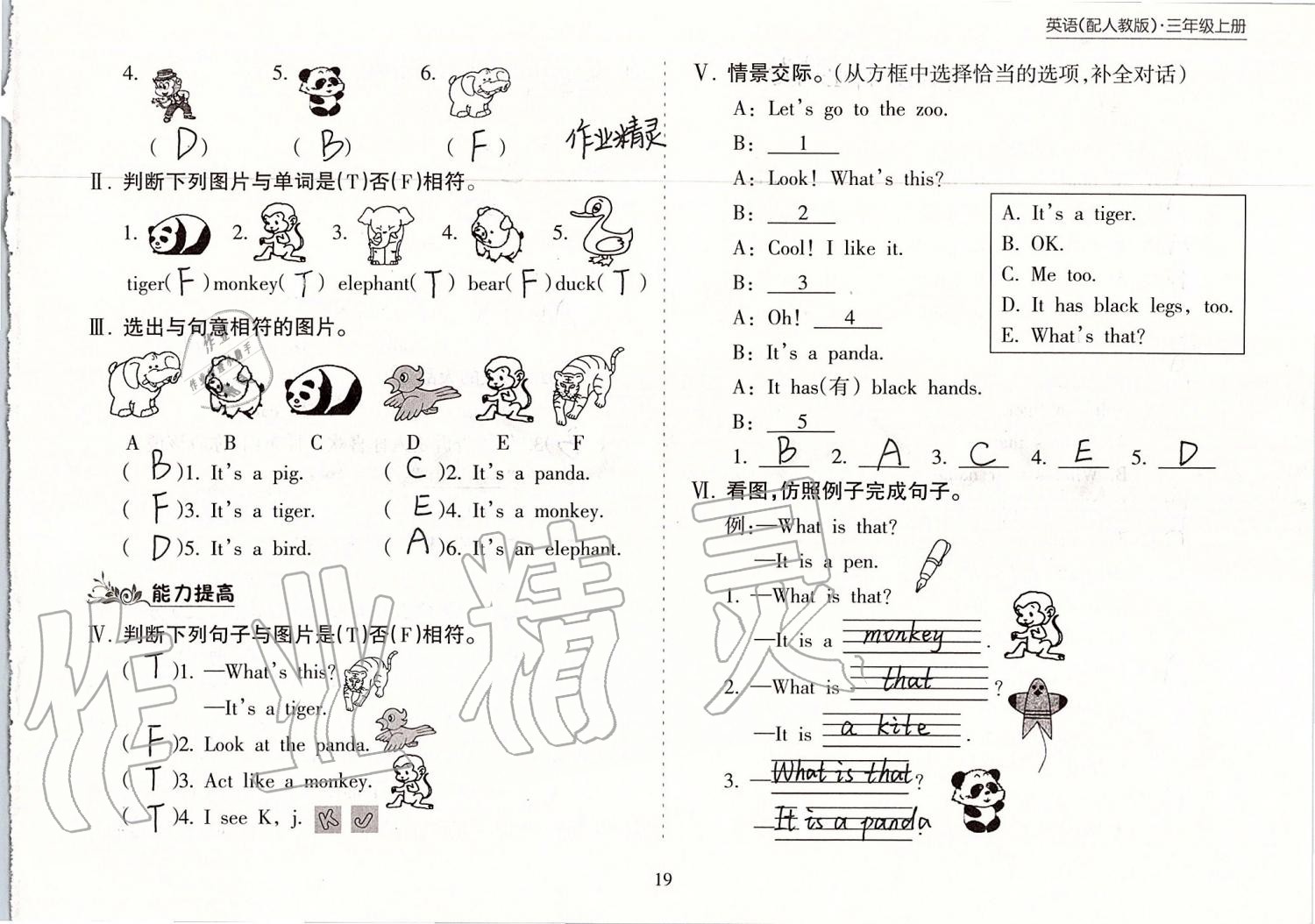 2019年新課程課堂同步練習冊三年級英語上冊人教版 第19頁