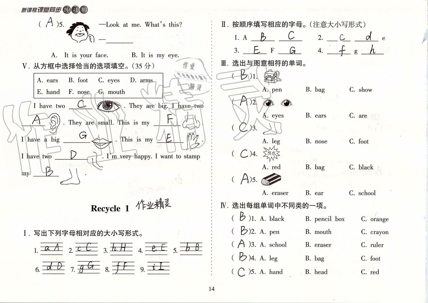 2019年新课程课堂同步练习册三年级英语上册人教版 第14页