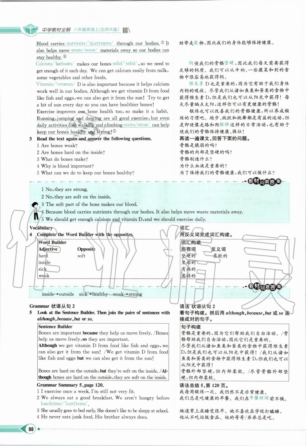 2019年課本八年級英語上冊北師大版 第88頁