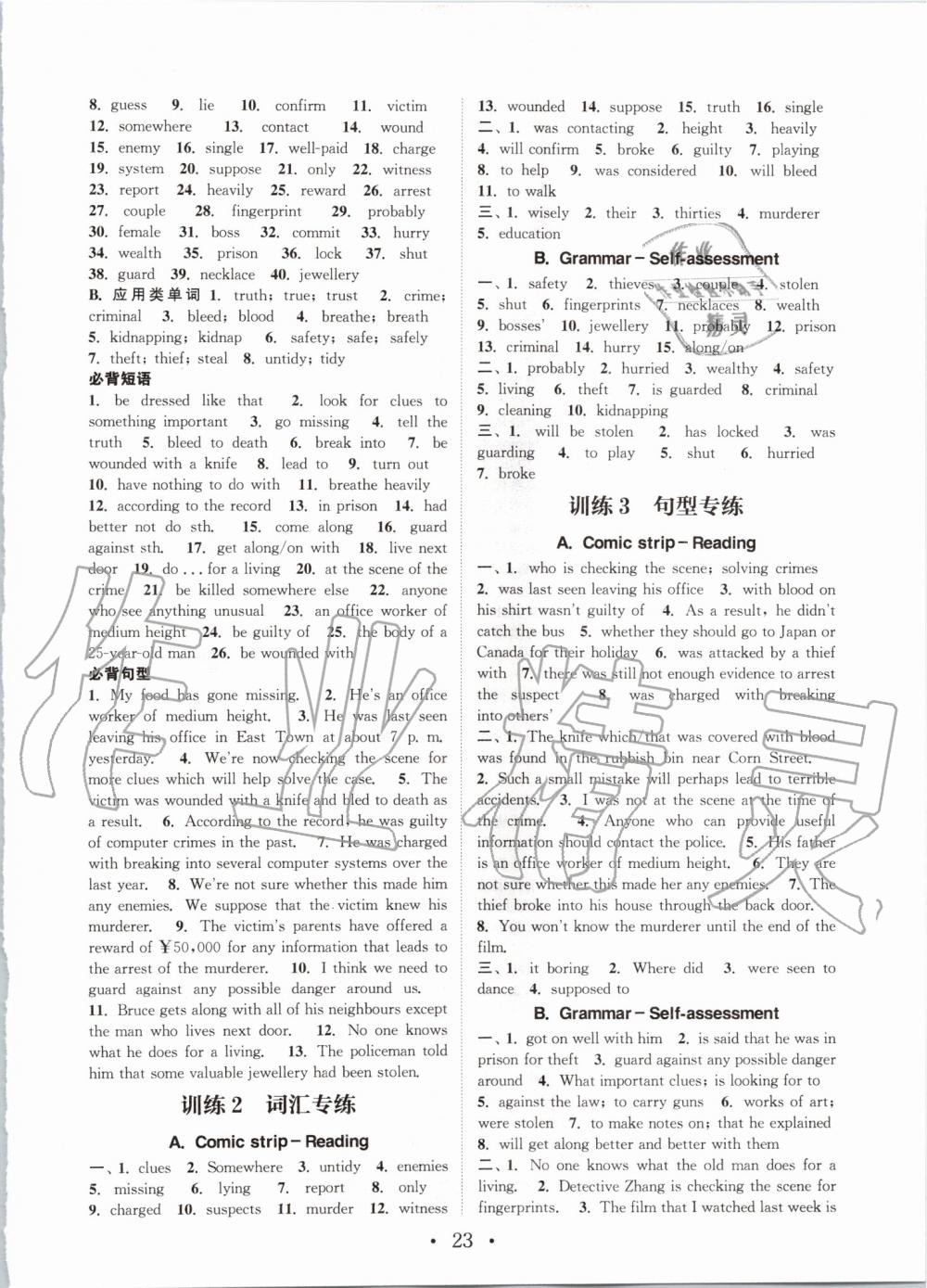 2019年通城學(xué)典初中英語基礎(chǔ)知識組合訓(xùn)練九年級上冊譯林版 第23頁