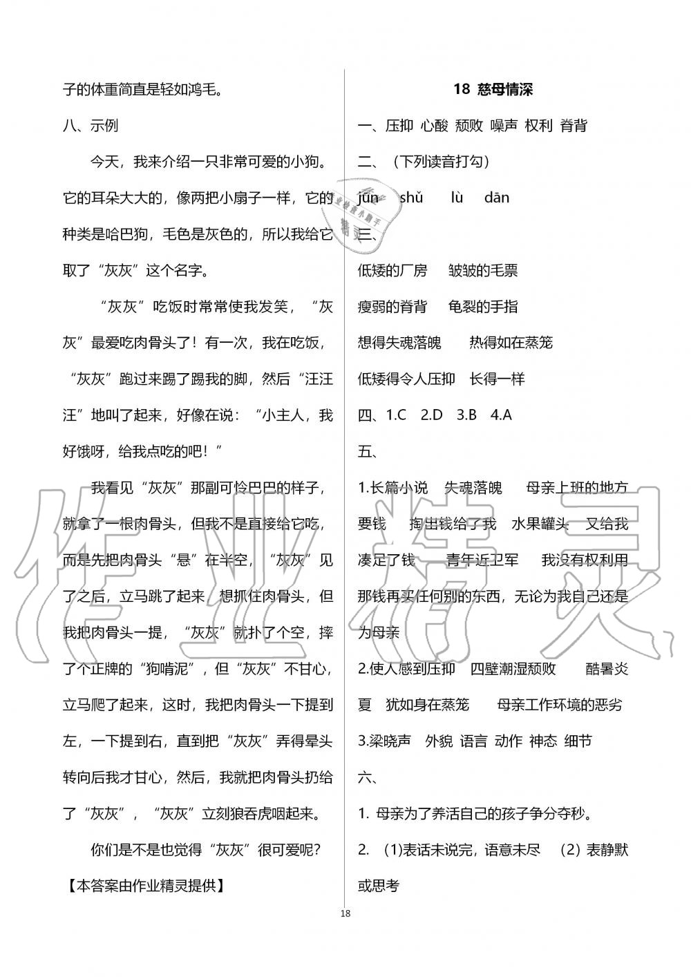 2019年新课程课堂同步练习册五年级语文上册人教版 第18页