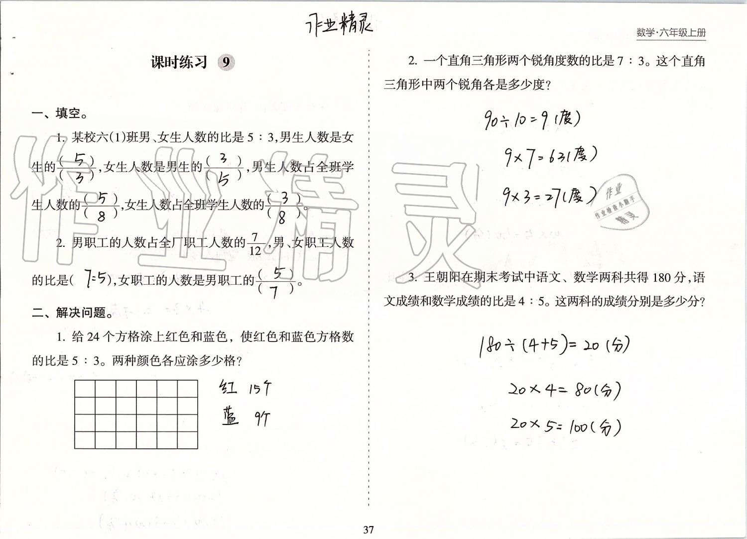 2019年新课程课堂同步练习册六年级数学上册苏教版 第37页