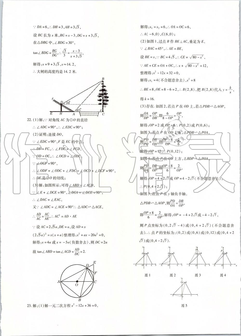 2019年优学1+1评价与测试九年级数学全一册 第61页